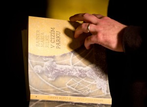 Kniha V cizím parku: výbor básní Rainera Marii Rilka od Radka Malého (foto: Petr Mlch)